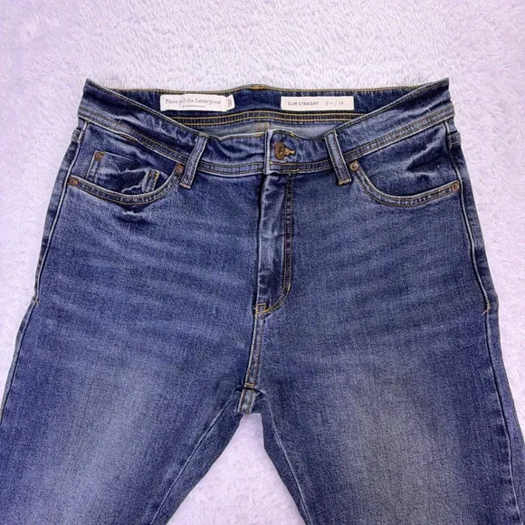 Anthropologie Pilcro & The Letterpress Jeans Embroidered Fringe Boho Slim 28 - Picture 3 of 10